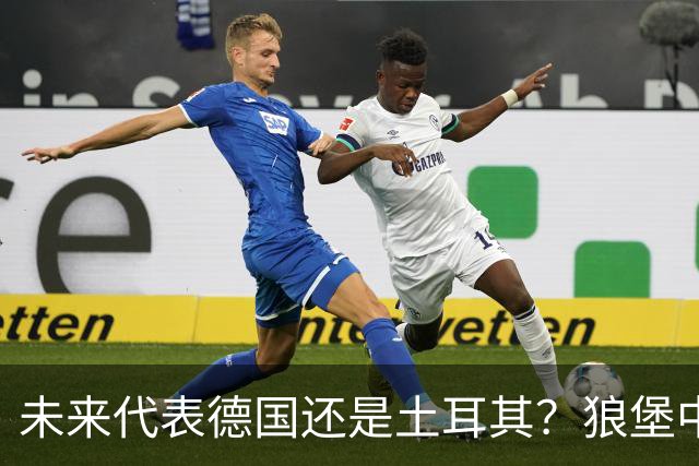 未来代表德国还是土耳其？狼堡中场达马尔：我都不排除